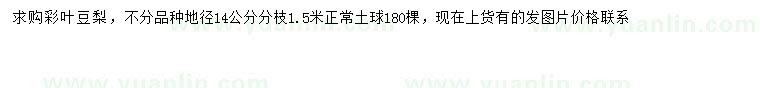 求購地徑14公分彩葉豆梨
