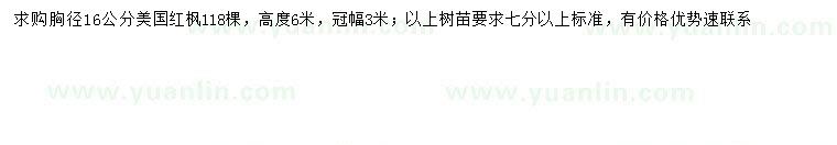 求購胸徑16公分美國紅楓