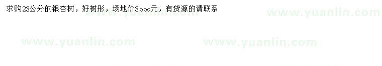 求購23公分銀杏樹