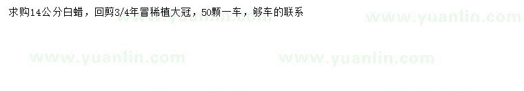 求購(gòu)14公分白蠟