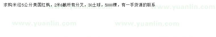 求購米徑5公分美國紅楓