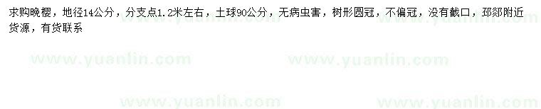 求購地徑14公分晚櫻