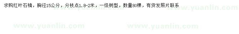 求購胸徑15公分紅葉石楠