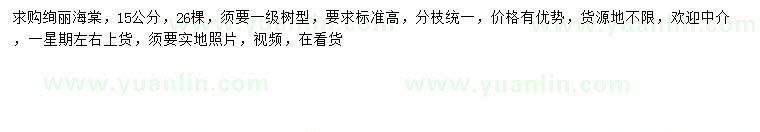 求購15公分絢麗海棠