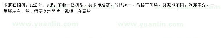求購(gòu)12公分石楠