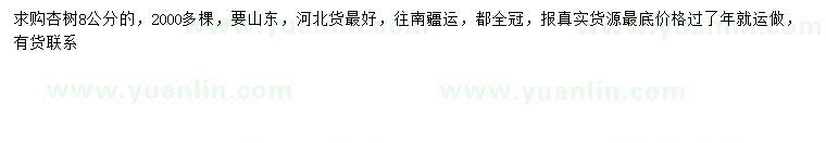 求購8公分杏樹