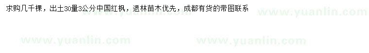 求購30量3公分中國紅楓