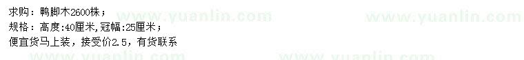 求購(gòu)高40公分鴨腳木