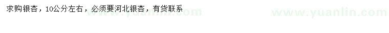 求購10公分左右銀杏