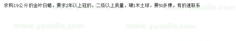 求購(gòu)19公分金葉白蠟