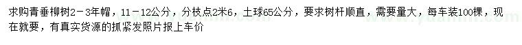 求購11-12公分青垂