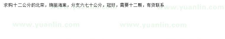 求購12公分北欒、絢麗海棠