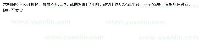 求購胸徑6公分柳樹