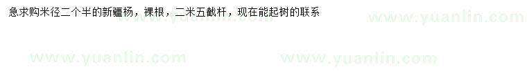 求購米徑2.5公分新疆楊