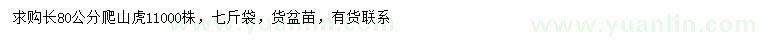 求購長80公分爬山虎