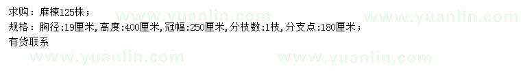 求購胸徑19公分麻楝