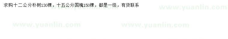 求購(gòu)12公分樸樹(shù)、15公分國(guó)槐