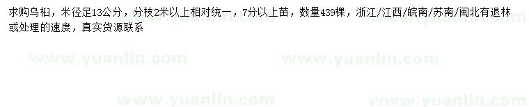 求購米徑13公分烏桕