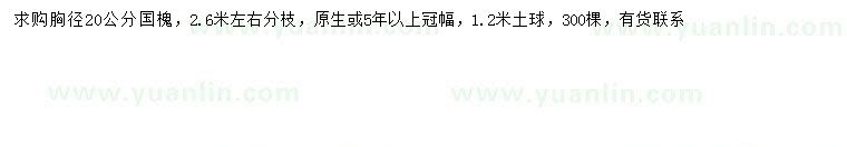 求購(gòu)胸徑20公分國(guó)槐