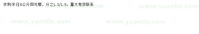求購(gòu)米徑8公分陽(yáng)光櫻