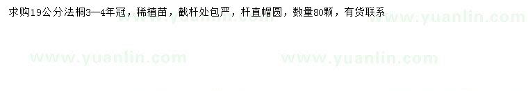 求購19公分法桐