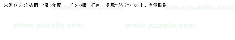 求購10公分法桐