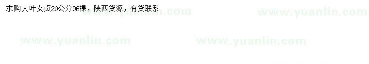 求購(gòu)20公分大葉女貞