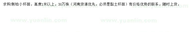 求購高1米以上側(cè)柏
