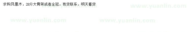 求購28公分鳳凰木