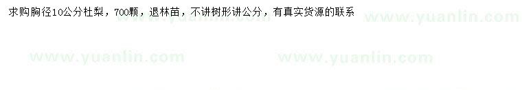 求購胸徑10公分杜梨