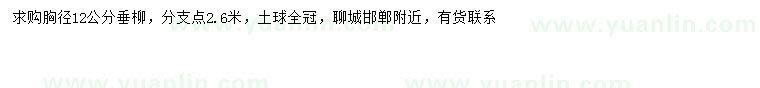 求購胸徑12公分垂柳