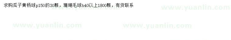 求購(gòu)冠幅150公分瓜子黃楊球、40公分以上珊瑚球
