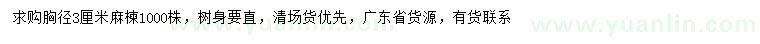 求購胸徑3公分麻楝