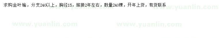 求購胸徑15公分金葉榆