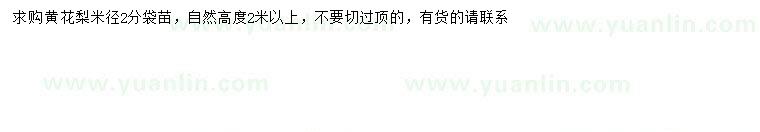 求購米徑2公分黃花梨