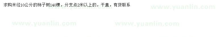 求購米徑10公分柿子樹