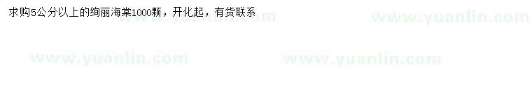 求購5公分以上絢麗海棠