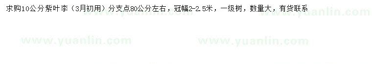 求購10公分紫葉李