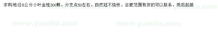 求購地徑8公分小葉金桂