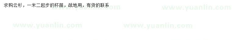 求購1.2米以上云杉