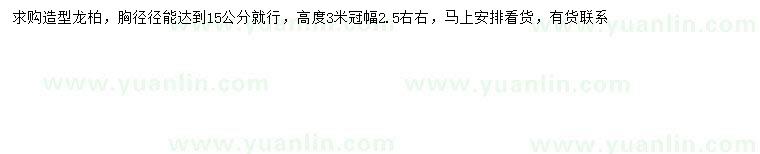 求購胸徑15公分造型龍柏