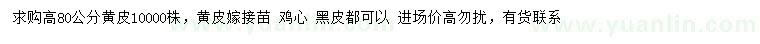 求購高80公分黃皮