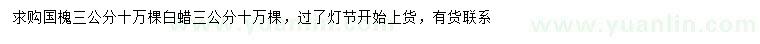 求購(gòu)3公分國(guó)槐、白蠟