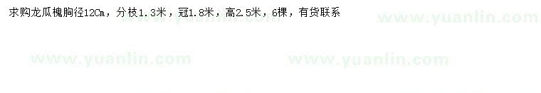 求購胸徑12公分龍瓜槐