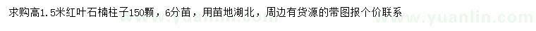 求購高1.5米紅葉石楠