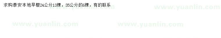 求購24、35公分早櫻