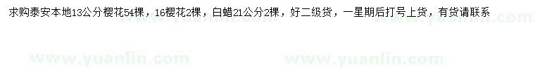 求購13、16公分櫻花、21公分白蠟