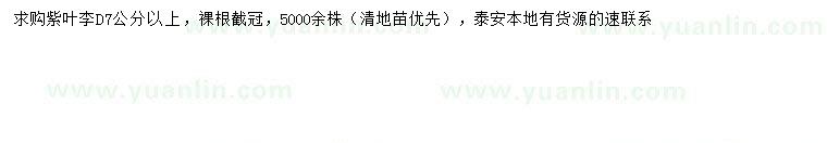 求購(gòu)地徑7公分以上紫葉李