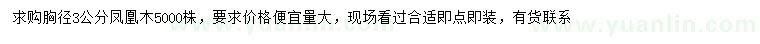 求購胸徑3公分鳳凰木
