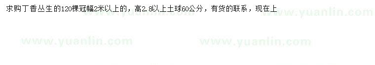 求購冠幅2米以上叢生丁香